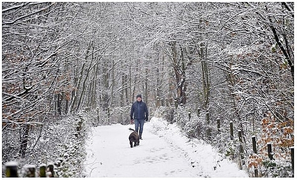 UK and europe weather forecast latest, january 10: snow to blanket the uk as polar air strike